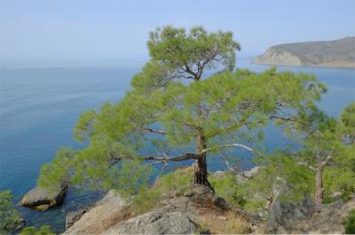 Прикрепленное изображение: н3.jpg